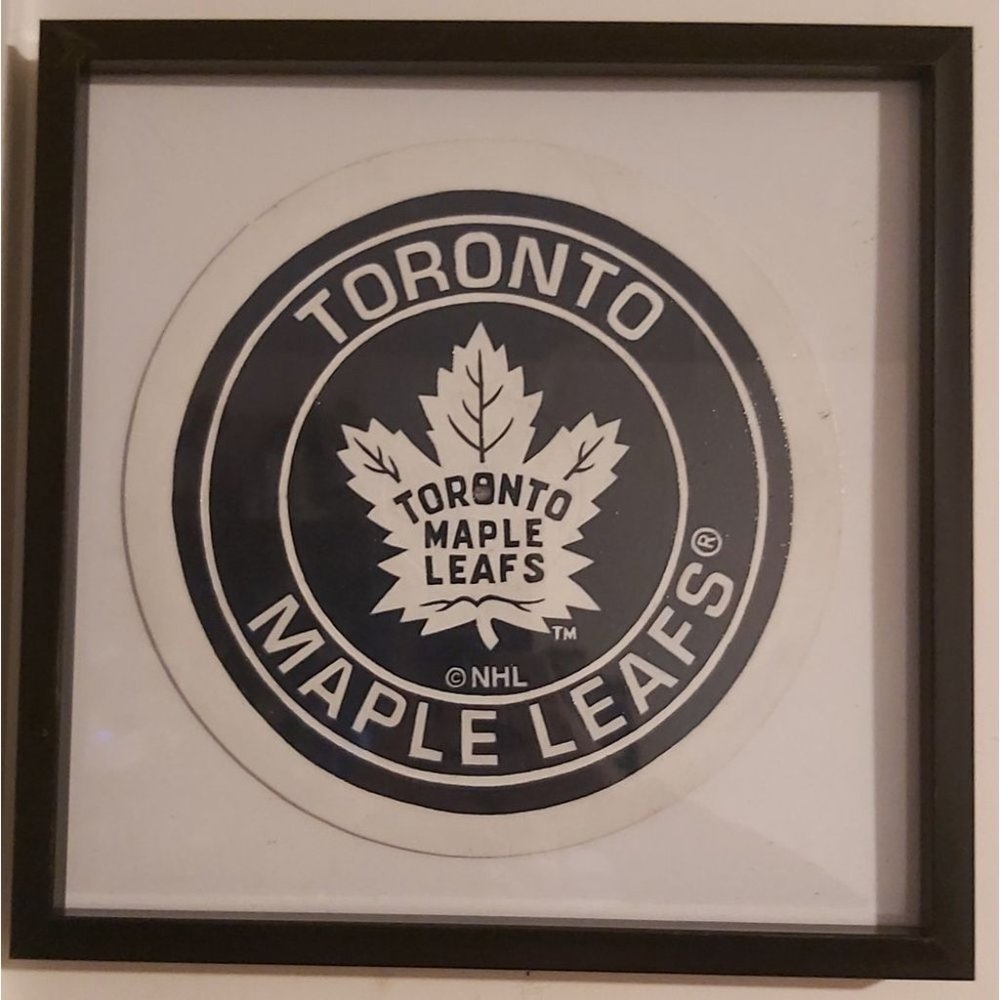 Handpainted Vinyl Record Painting ~ NHL Toronto Maple Leafs - Framed